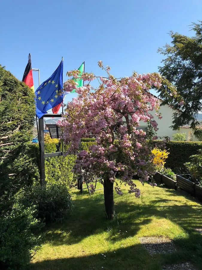 Gastehaus Cramer Guest House Bad Kissingen 0*,