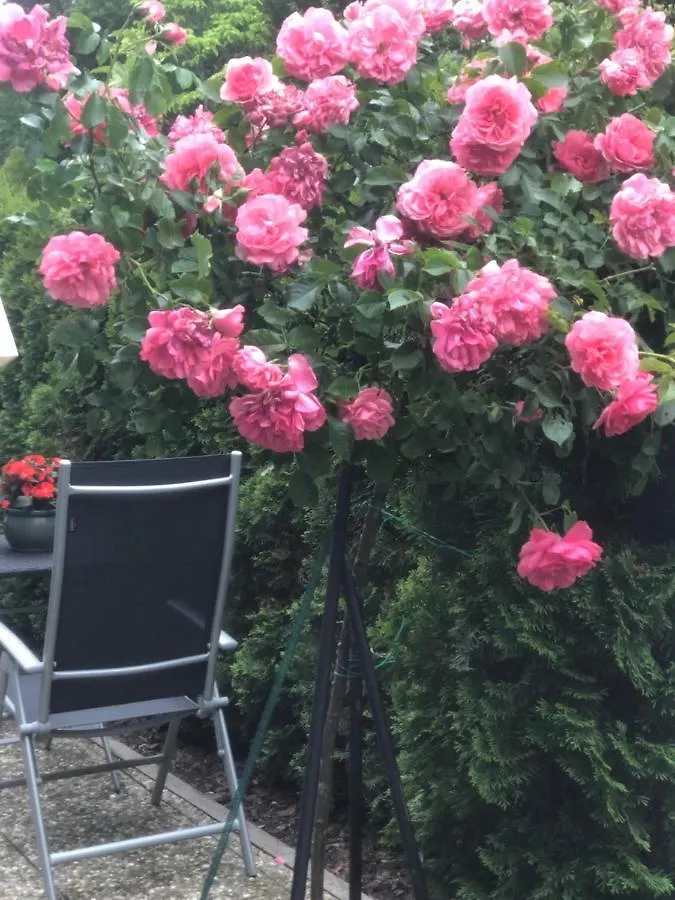 Gastehaus Cramer Guest House Bad Kissingen