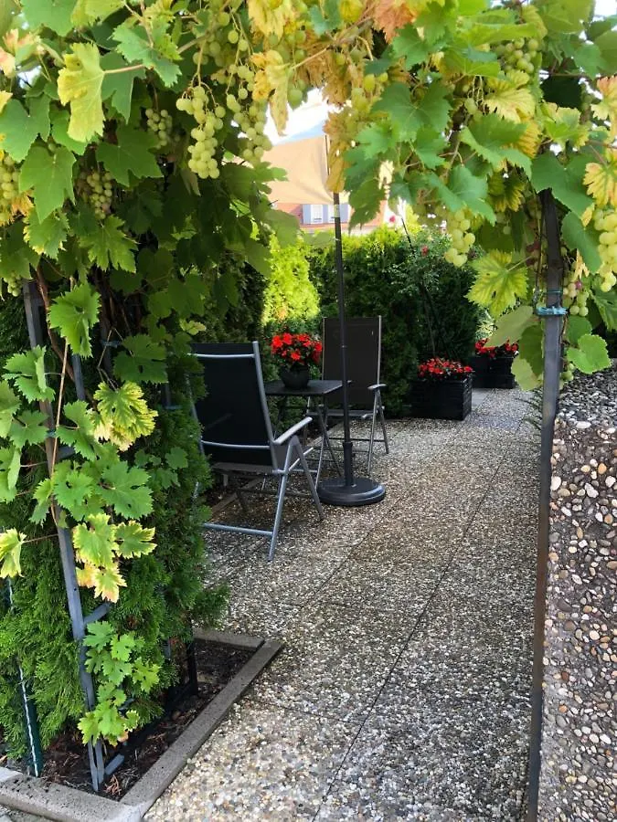 Gastehaus Cramer Guest House Bad Kissingen
