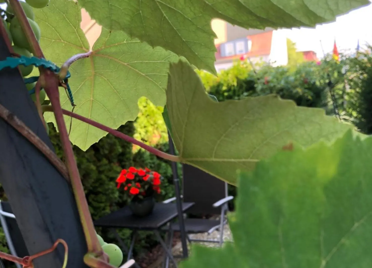 Gastehaus Cramer Guest House Bad Kissingen